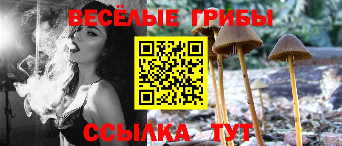 Псилоцибиновые грибы Magic Shrooms  Вход с VPN  Рыбинск 